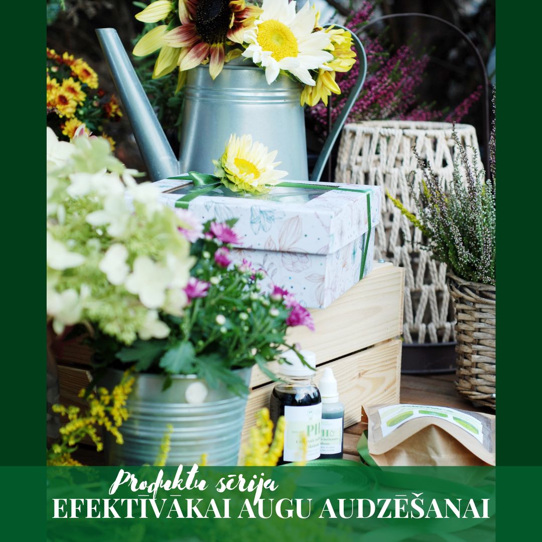 Komplekts augu audzēšanai, SVĒTKU