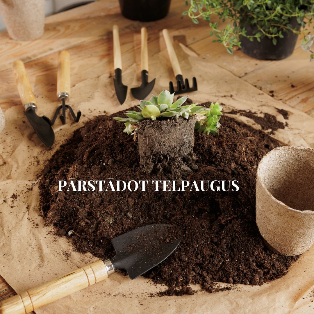 GROW's Basic piedeva susbtrātiem, augsnes uzlabotājs