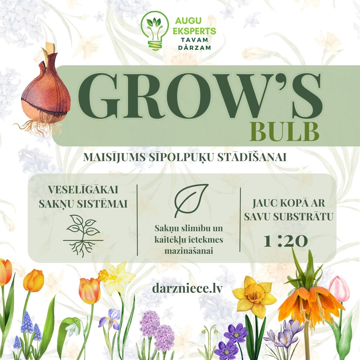 Maisījums sīpolpuķu stādīšanai Grows BULB