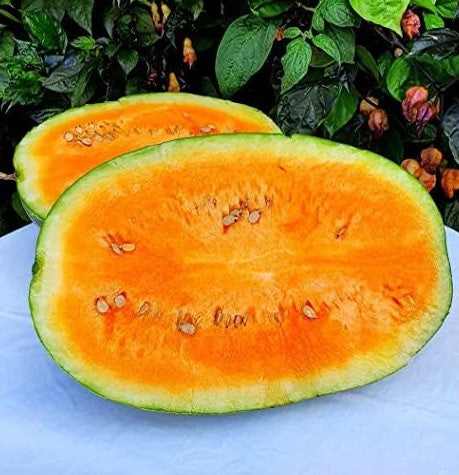Arbūzs 'Orangeglo'