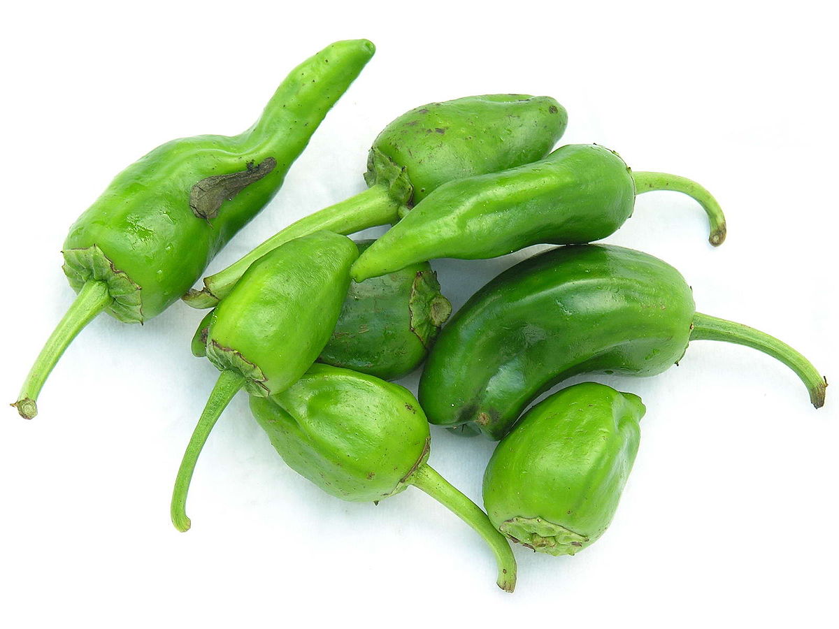 Pipari PADRON