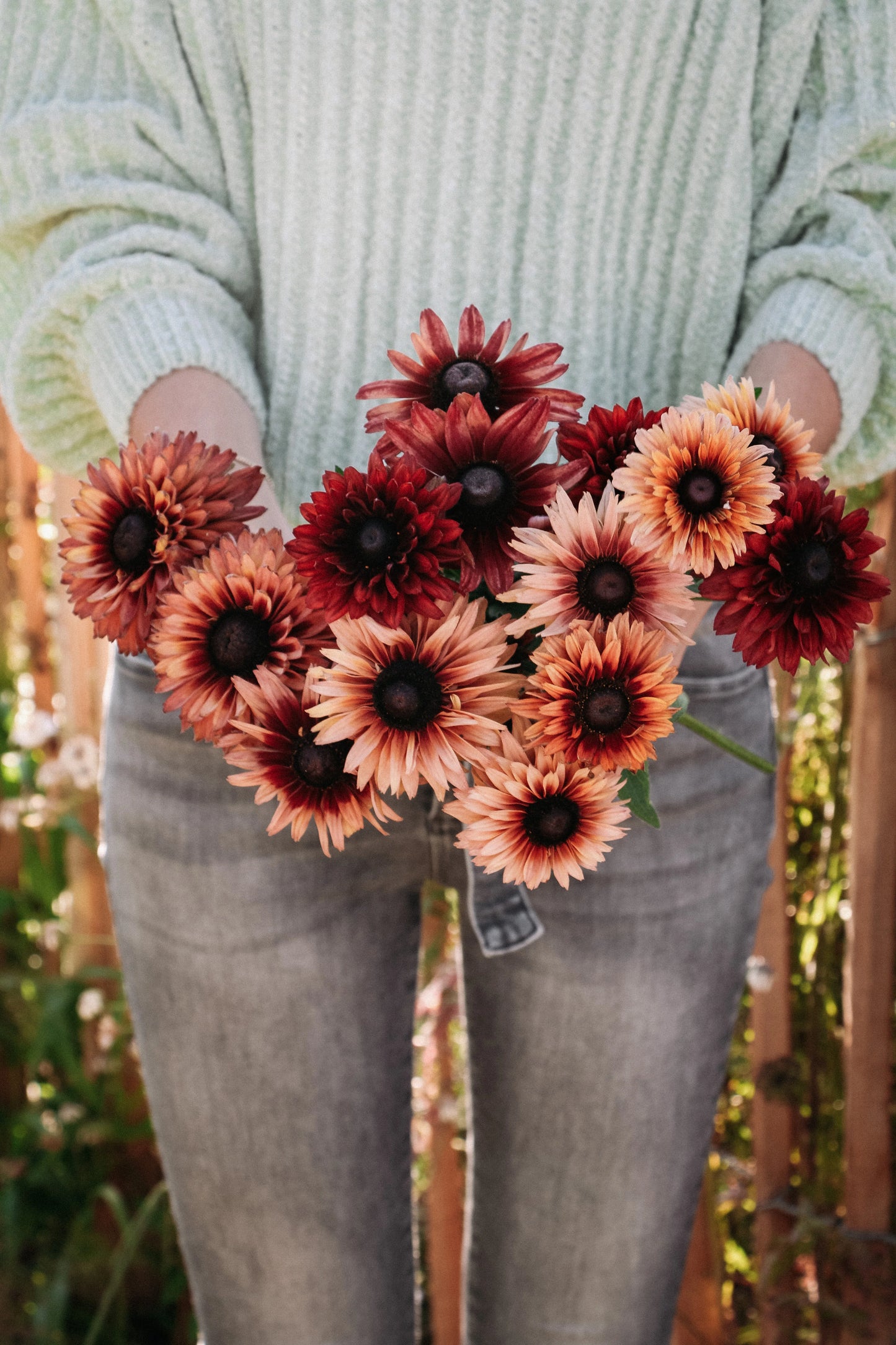 Rudbekija ' Sahara'