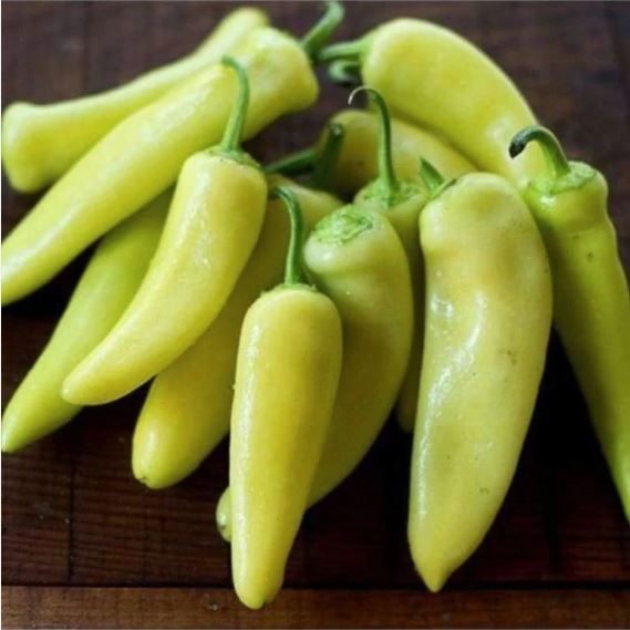 Pipari Ungāru Yellow Wax Hot