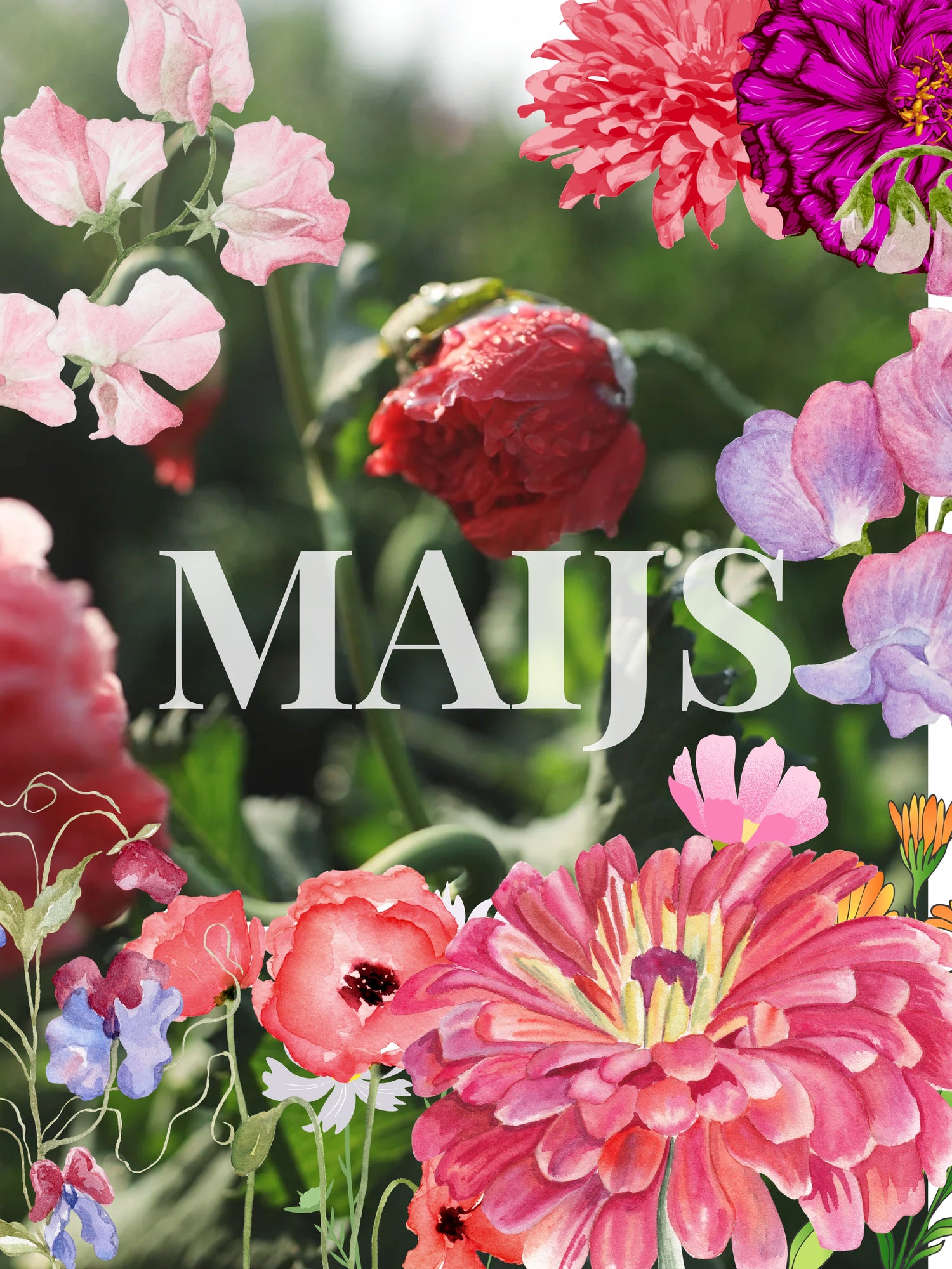 Maijā sējamās sēklas