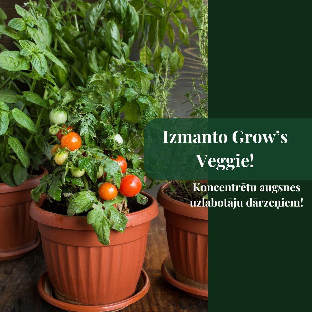 Koncentrēts augsnes uzlabotājs GROW's VEGGIE - dārzeņu audzēšanai siltumnīcām un dobēm