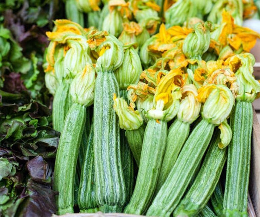 Kabači 'Costata Romanesco'