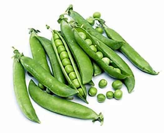 Zirņi 'Ambrosia' - BIO saldie, maigo pākstenīšu ieguvei