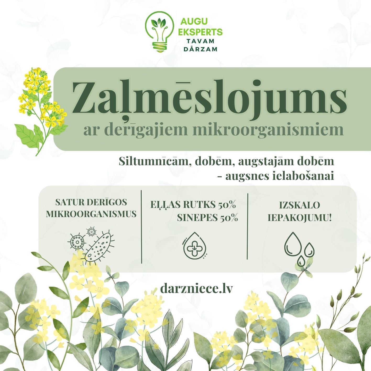 Sēklas zaļmēslojumam ar labo mikroorganismu piedevu