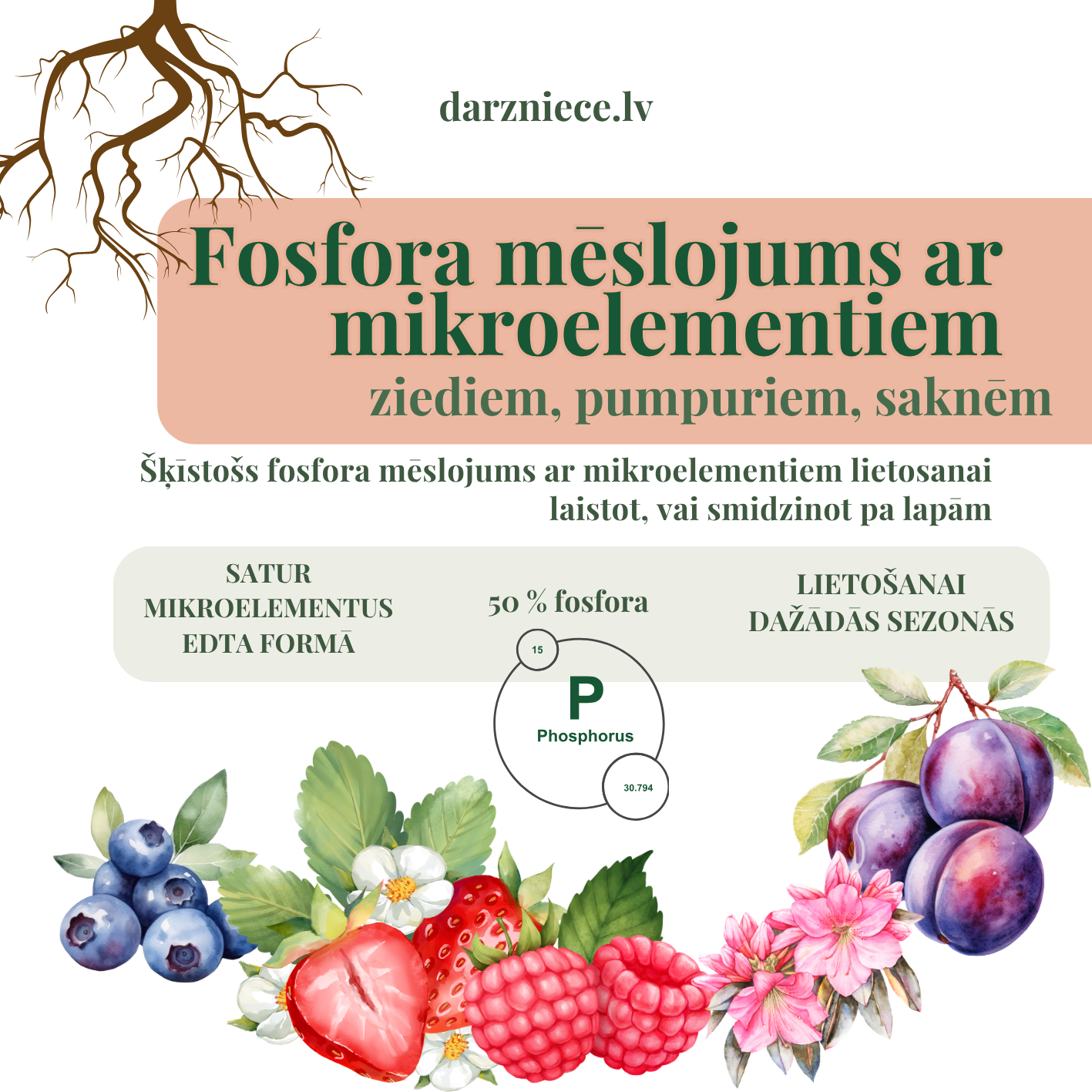 Fosfora mēslojums ziediem, pumpuriem lietošanai visās sezonās