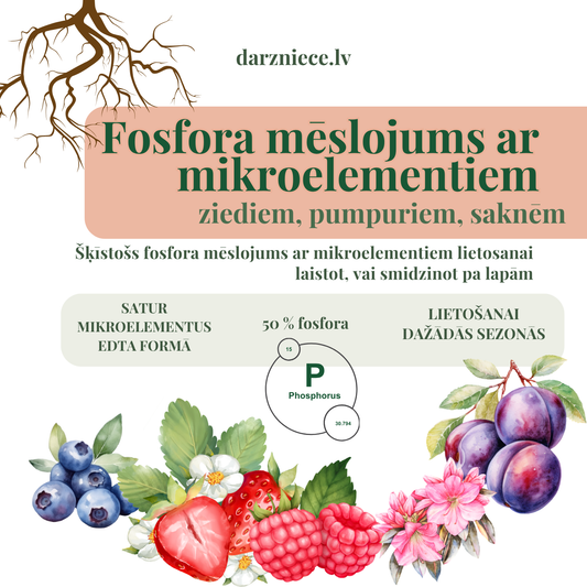 Fosfora mēslojums ziediem, pumpuriem lietošanai visās sezonās