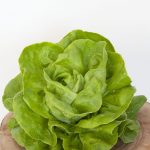Salāti 'Gustavs Salad'
