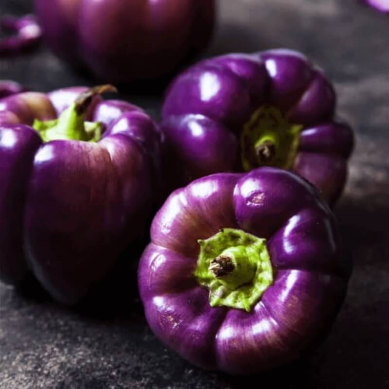 Paprika 'Oda'
