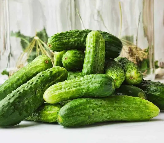 Krūmveida gurķi 'Petipikel'