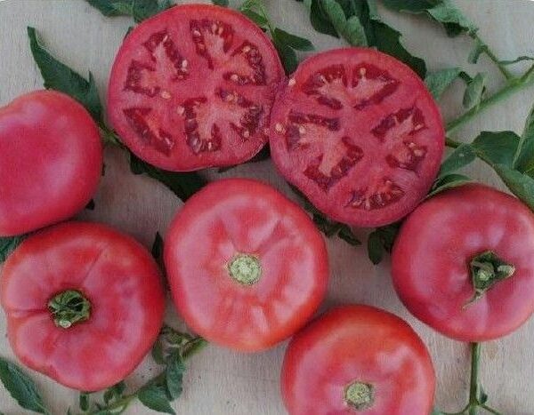 Tomāti 'Pink Deli' f1