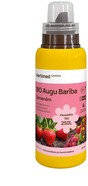 BIO Augu Barība Zemenēm