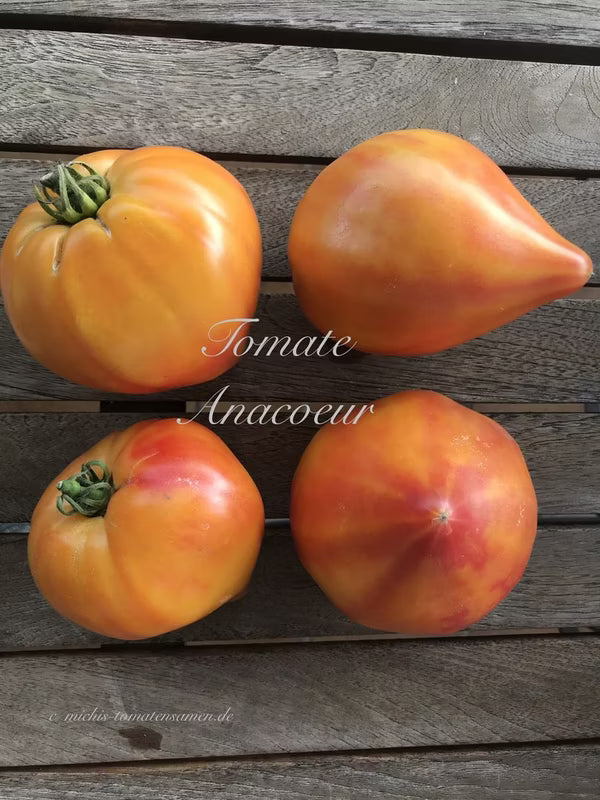 Tomāti 'Anacoeur' JAUNUMS!